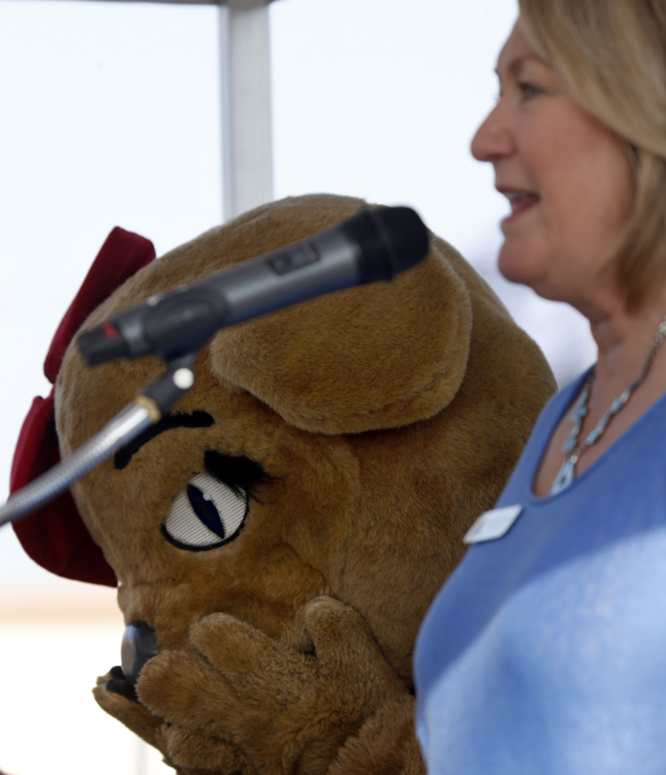 Wilbur and Wilma Wildcat through the years